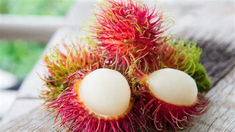 5 Wild Fruits From Asia Pacific That You Should Try Articles Cbc Kids