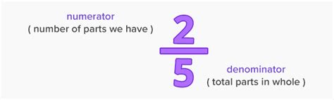 Least Common Denominator Examples