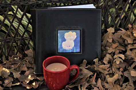 Photo Album And Cup In Leaves Free Stock Photo - Public Domain Pictures