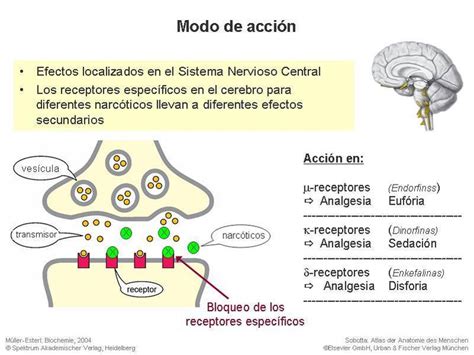 Changing The Way You Learn Mind Map