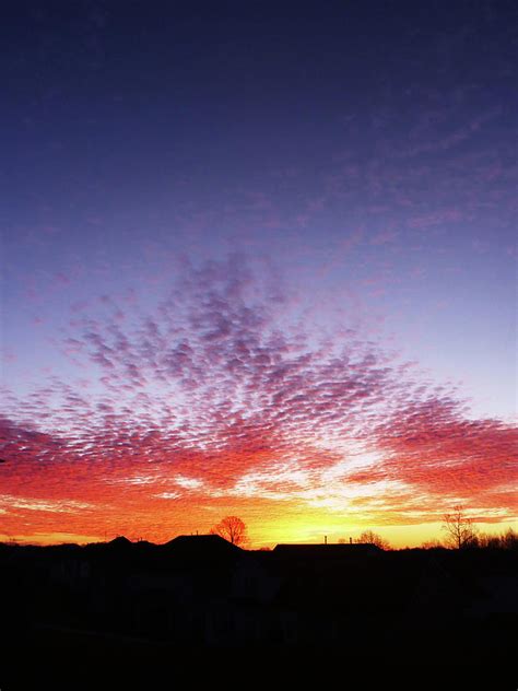 Welcoming Morning Photograph By Sharon Williams Eng Fine Art America