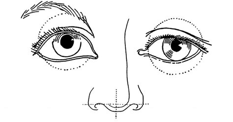 The Parts Of The Face Karens Whimsy