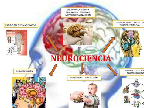 Pin De Jorge Luis En Neurociencias Juegos Didacticos De Matematicas Comprensión Lectora