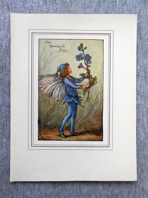 Speedwell Flower Fairy 1930s Vintage Print Cicely Barker Etsy