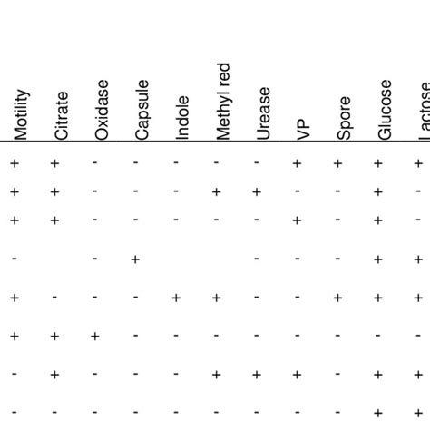 Biochemical Characterisation And Identification Of The Isolates