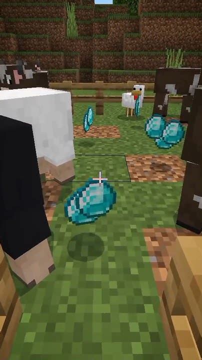 The Story Of Diamond Chicken In Minecraft Shorts Youtube