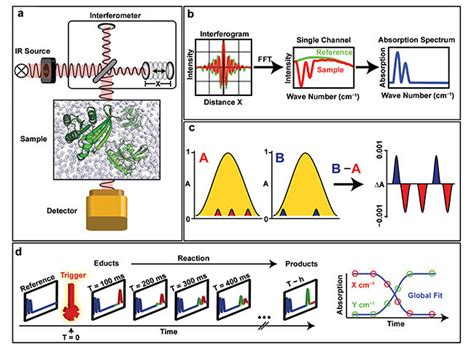 Principle Of Ftir Spectroscopy Nbkomputer