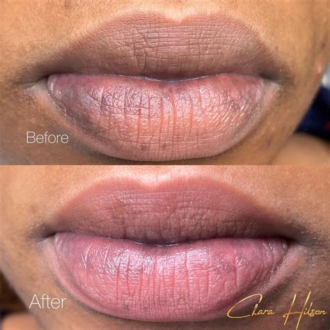 Which Style Gives The Most Natural Lip Blushing Results Artofit