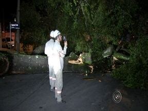 Bom Dia Cidade Sorocaba E Itapetininga Temporal Granizo Provoca