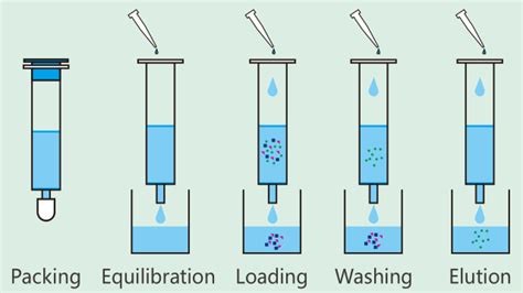 Empty Columns for Protein Purification – Biocomma Official Blog