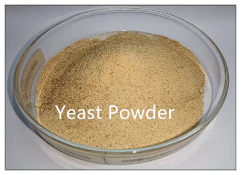 Feed Additive Yeast Powder Inactive Brewers Yeast Protein