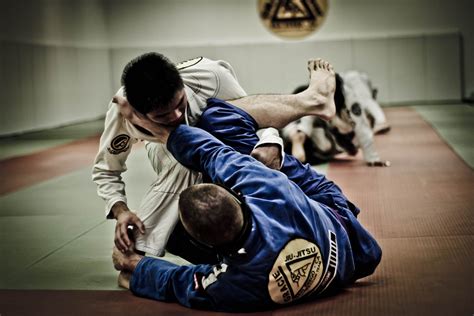 Jiu Jitsu Brasileiro Jogue E Aposte O Yes 88