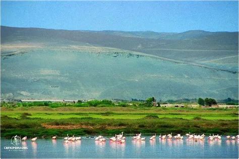 Descubre Las Rutas Del Peru Carreteras Febrero Ceficperu Org