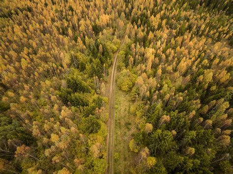 Aerial View Of An Empty Road Crossing A Forest Estonia Stock Image