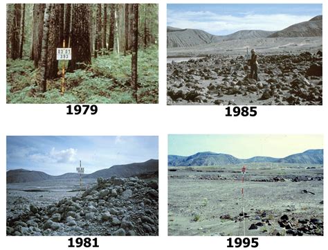 Mount Saint Helens Eruption Before And After