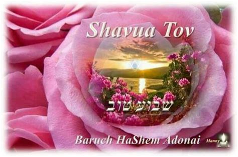 Pin By Darlene On Shabbat Shalom And Shavuatov V Layla Tov Shavua