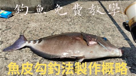 （第52集）taiwan 釣魚樂 釣魚教學 南珍珠北魚皮勾臺灣釣魚 Youtube