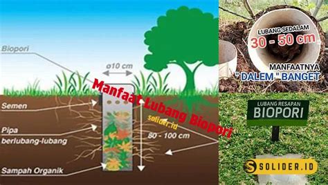 Temukan 9 Rahasia Lubang Biopori Yang Perlu Anda Tahu Solider
