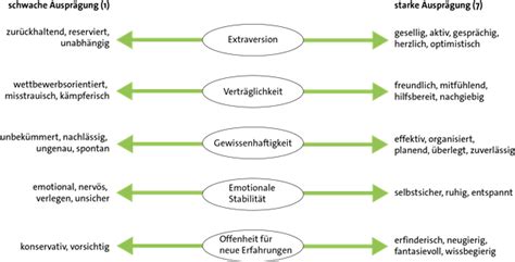 Persönlichkeitsdiagnostik TwinLife