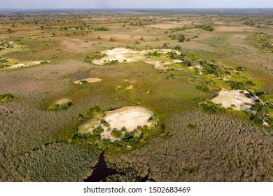 Aerial View Delta Okavango Bush Jungle Stock Photo