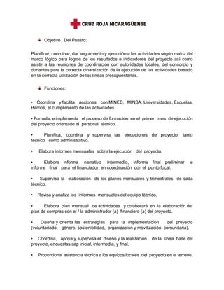 COORDINADOR DE PROYECTO PDF