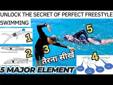 Unlock The Secret Of Freestyle Swimming 0 To 100 Swimming Tips For