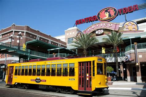 Top 17 Things to Do in Tampa Bay, Florida