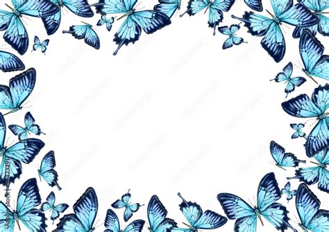 Painted Blue Butterflies Frame Hand Drawn Illustration Isolated