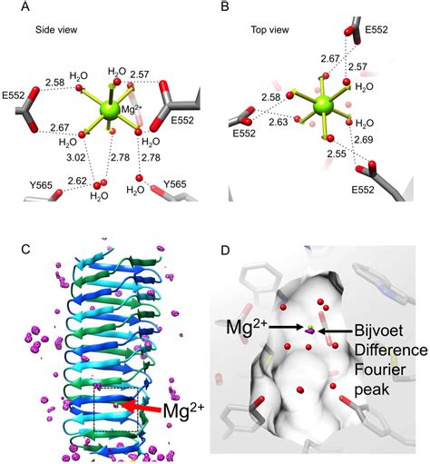 Viruses Free Full Text Structure And Biophysical Properties Of A