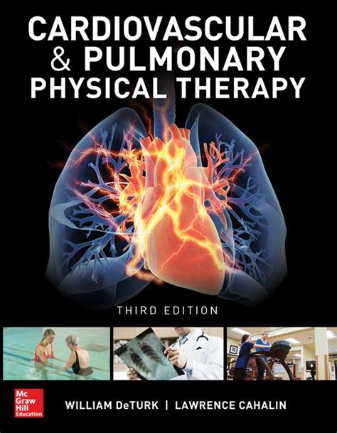 Anatomy Of The Cardiopulmonary System Cardiovascular And Pulmonary