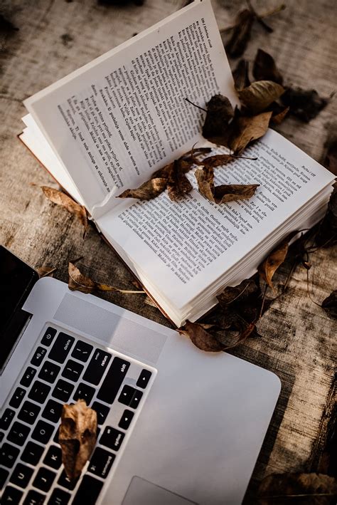 Book, laptop, leaves, dry, autumn, aesthetics, HD phone wallpaper | Peakpx