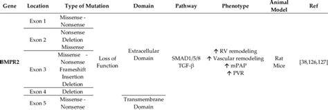 This Table Entails The Genetic Variants In Pah The Respective Affected Download Scientific