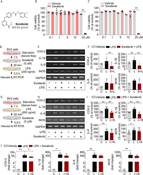 Frontiers Sorafenib Modulates the LPS and Aβ Induced