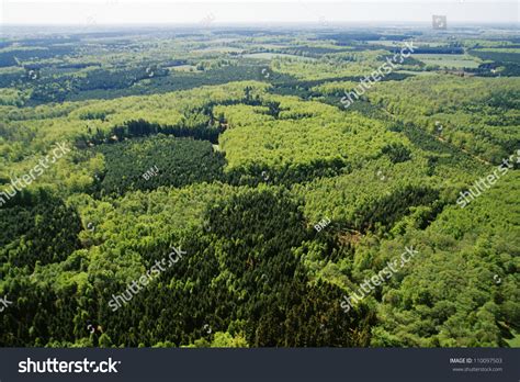 Forest From Above Stock Photo 110097503 Shutterstock