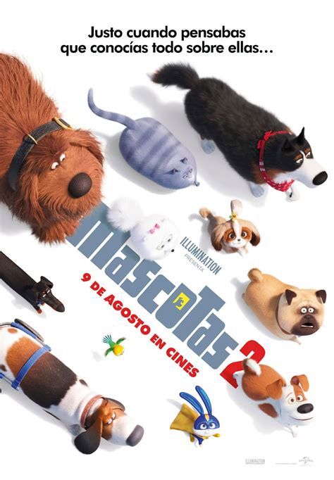 La Vida Secreta De Tus Mascotas Pelicula Completa Hd Peliculas Hd