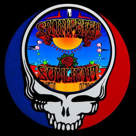 Grateful Dead Tribute Bands In The Usa