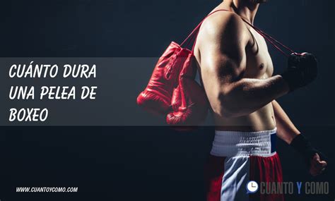 Cu Nto Tiempo Dura Un Round De Boxeo Marcausa Conhe A O Intrigante