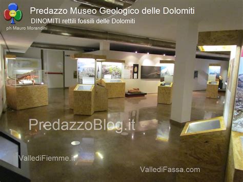 Le Attivit Estive Al Museo Geologico Delle Dolomiti Di Predazzo