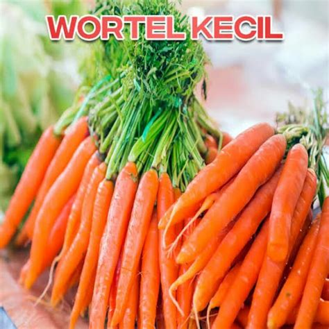 Jual Wortel Kecil Sayuran Segar 1 Kg Shopee Indonesia