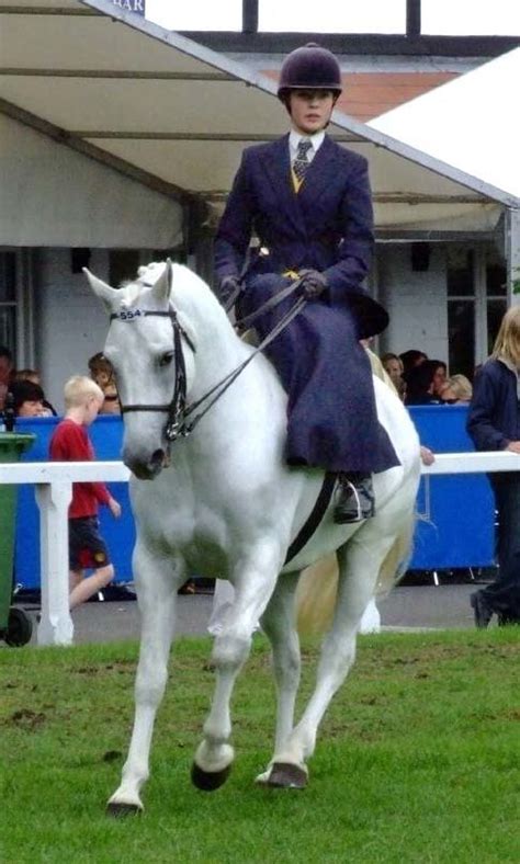 Sidesaddle - Alchetron, The Free Social Encyclopedia