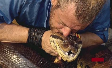 SUCURI SAIBA TUDO SOBRE ESSA COBRA QUE DESPERTA MEDO News Rondônia