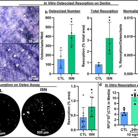 The relationship between osteocyte markers and bone mineral density or ...