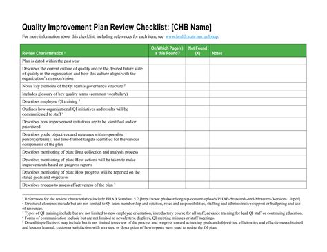 Quality Improvement Plan Template