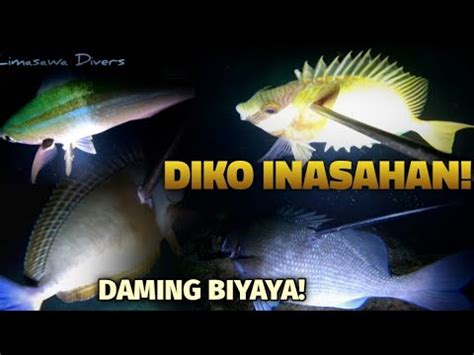 EP 11 NIGHT SPEARFISHING PHILIPPINES DAMING BLESSINGS AT BIYAYA