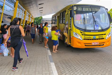 Frota de ônibus do transporte público e táxi lotação é ampliada no