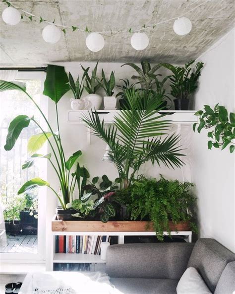 Plants Of Tumblr Interior Plants Interior And Exterior House Interior