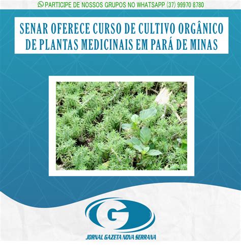 SENAR OFERECE CURSO DE CULTIVO ORGÂNICO DE PLANTAS MEDICINAIS EM PARÁ