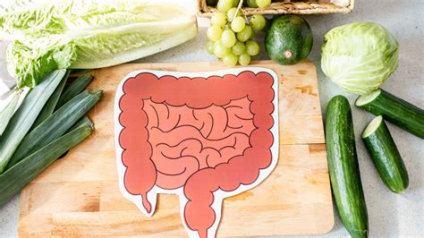 Healthy Gut 12 Ways To Improve Gut Health