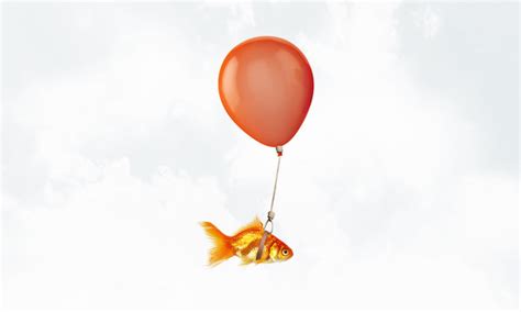 Orange Hot Air Balloon Images Browse Stock Photos Vectors And Video Adobe Stock