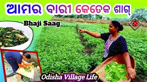 Odia Bhaji Saag Recipe Sambalpuri Village Lifestyle Vlog Odisha